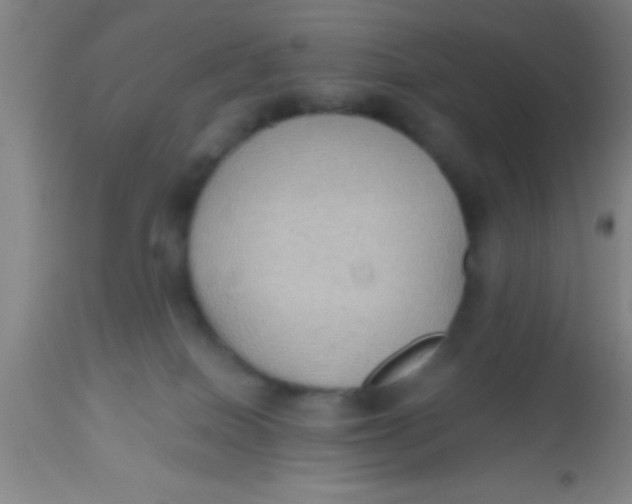 X0000112520086200909071344