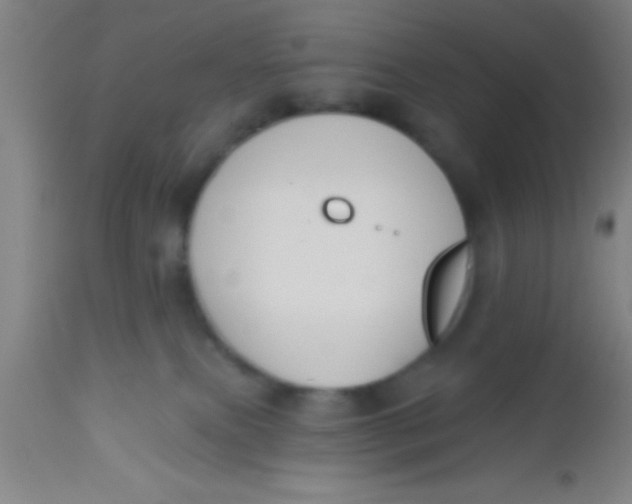 X0000112520087200909071344