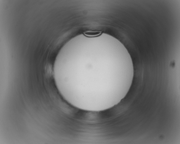 X0000112520089200909071344