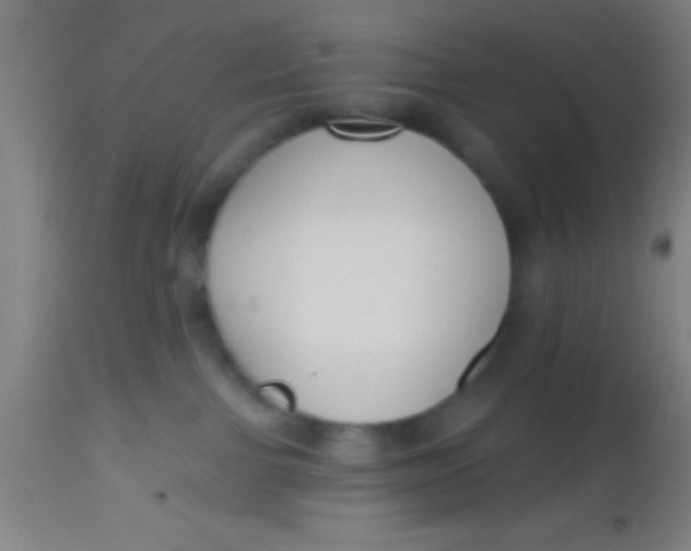 X0000112520091200909071344