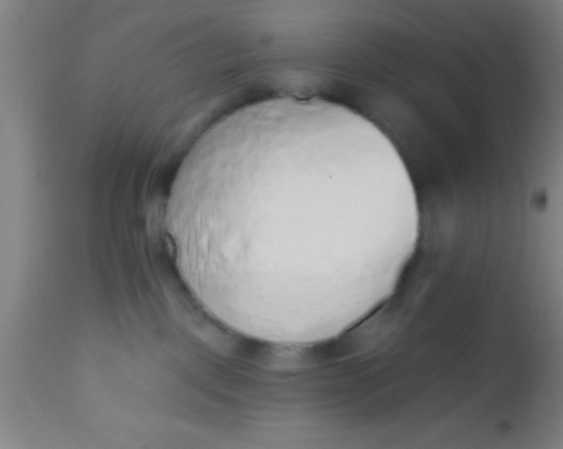 X0000112520093200909071344