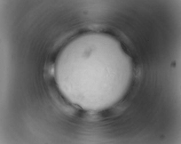 X0000112520095200909071344