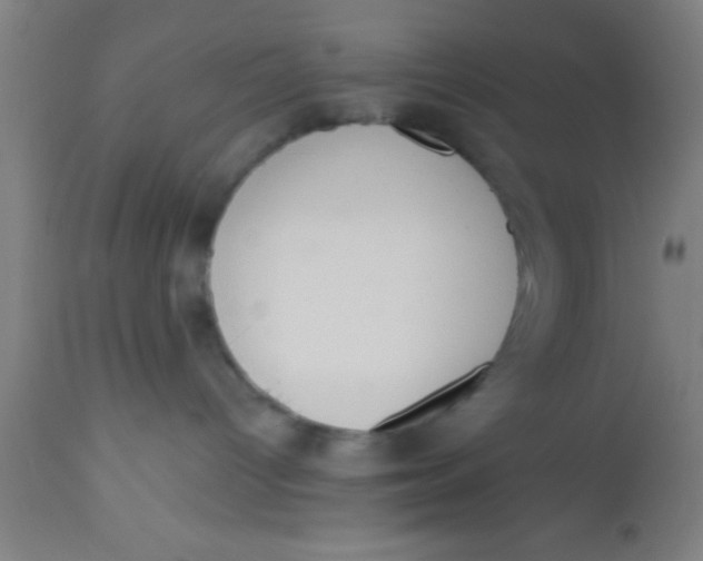 X0000112520096200909071344