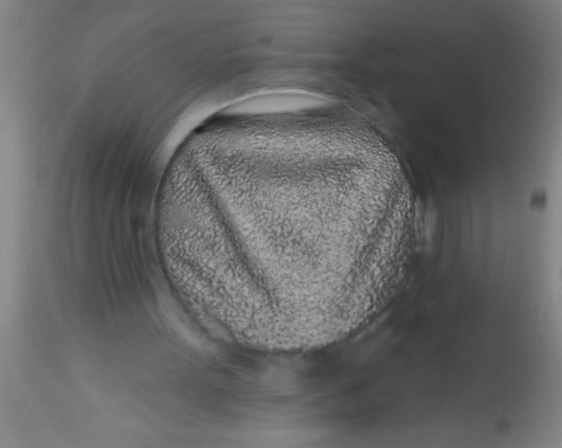X0000112520099200909071343