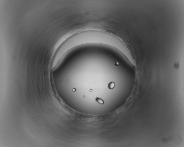 X0000112520100200909071343