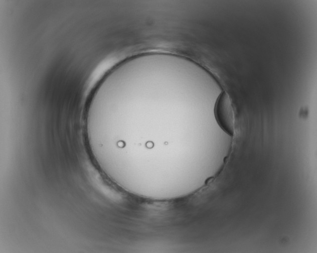 X0000112520102200909071343