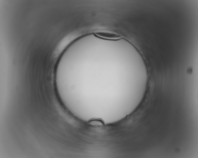 X0000112520103200909071343