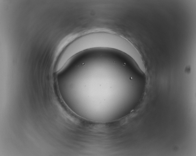 X0000112520104200909071343
