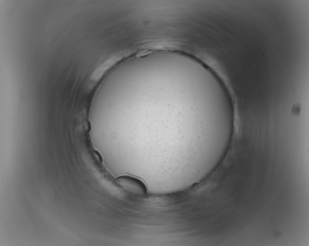 X0000112520105200909071343