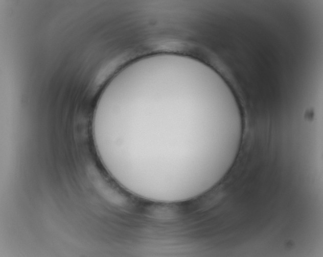X0000112520106200909071343