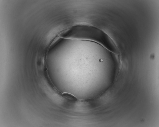 X0000112520109200909071343