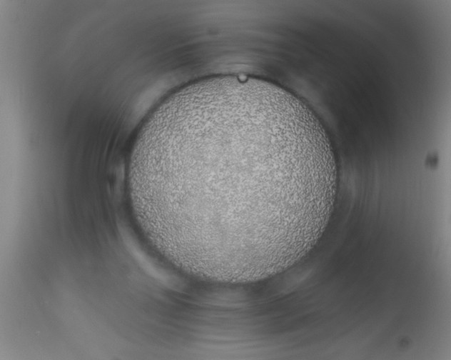 X0000112520110200909071343