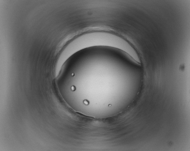 X0000112520111200909071343