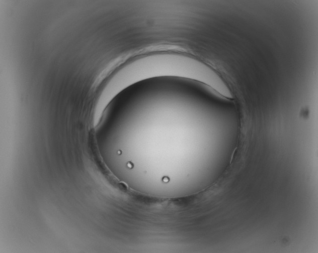X0000112520112200909071343