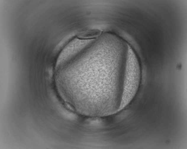 X0000112520113200909071343