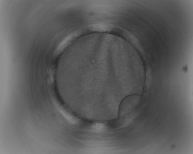 X0000112520114200909071343