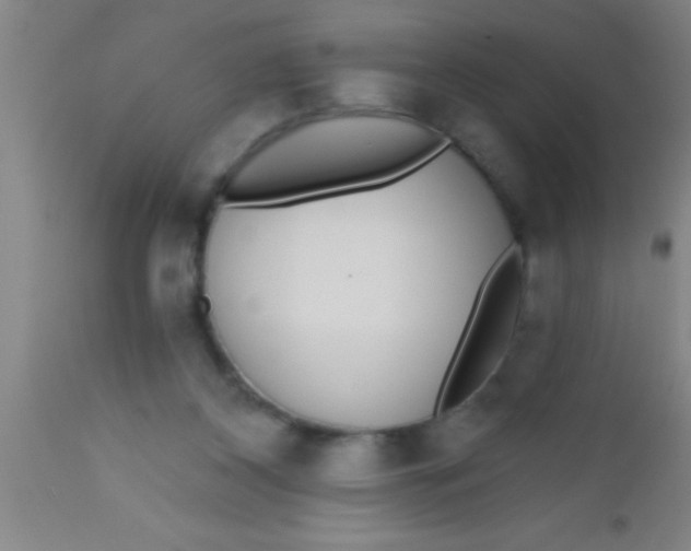 X0000112520116200909071343