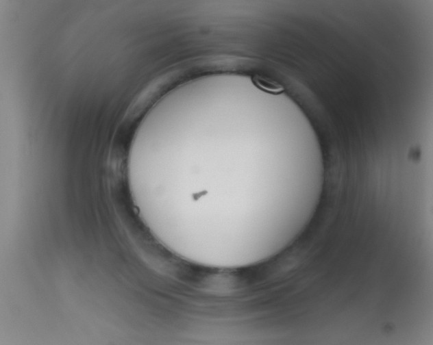 X0000112520119200909071343