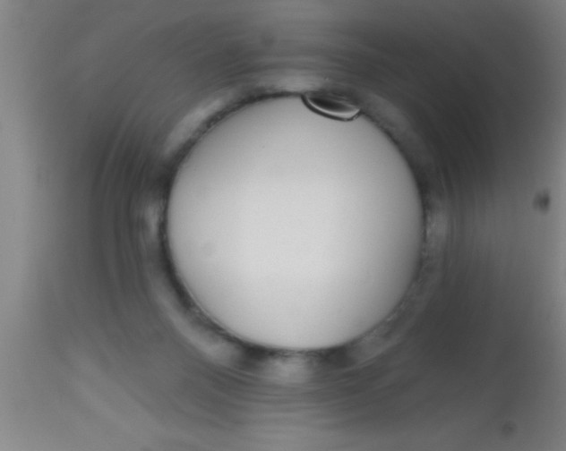 X0000112520120200909071343