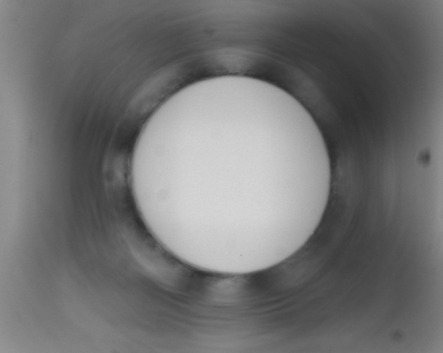 X0000112520122200909071343