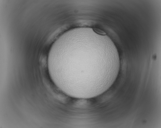 X0000112520123200909071343