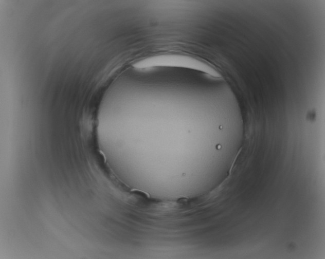 X0000112520124200909071343