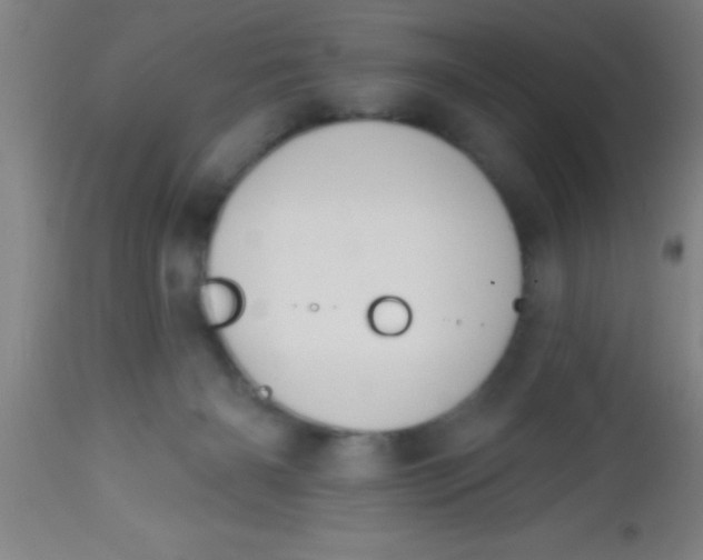 X0000112520126200909071343