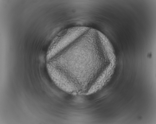 X0000112520127200909071343
