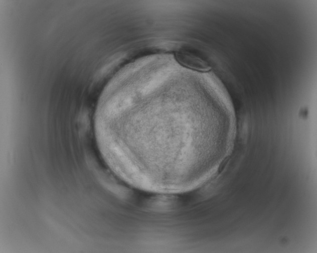 X0000112520128200909071343