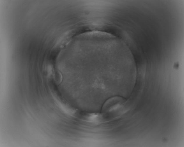 X0000112520130200909071343