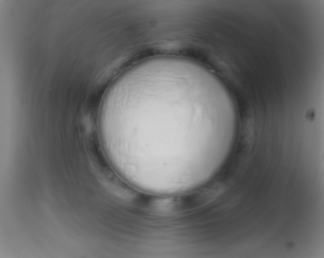 X0000112520131200909071343