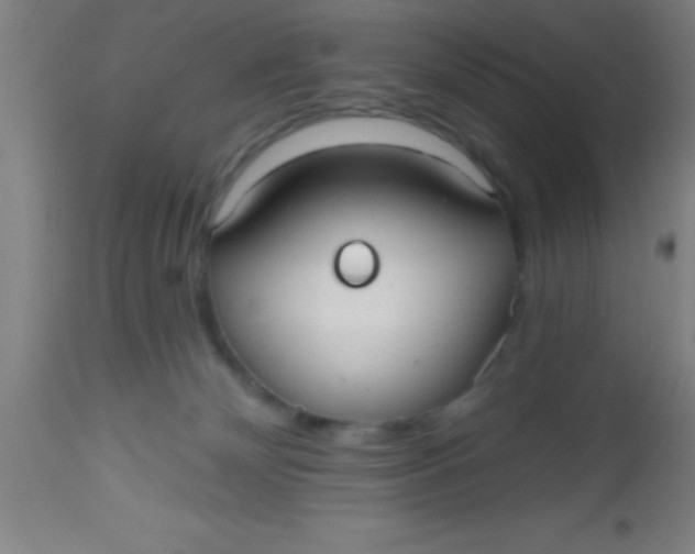 X0000112520132200909071343