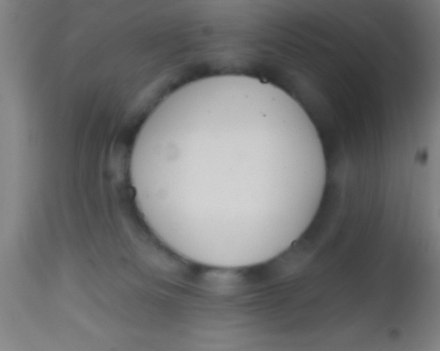 X0000112520133200909071343