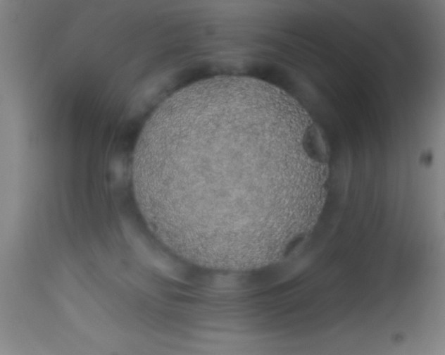 X0000112520134200909071343