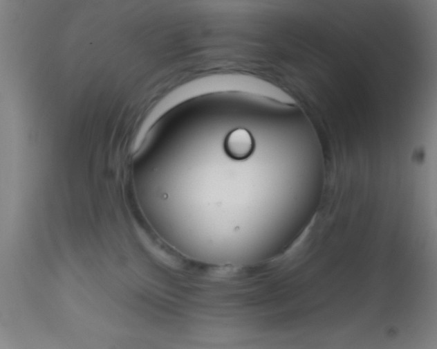 X0000112520136200909071343