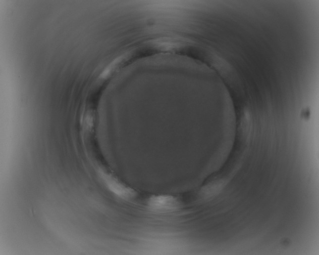 X0000112520137200909071343