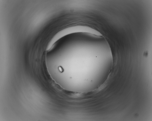 X0000112520140200909071343