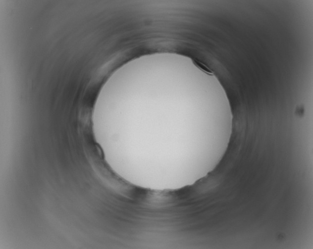 X0000112520141200909071343