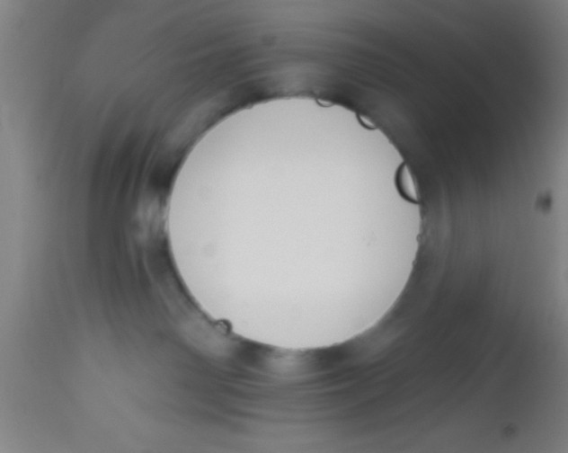 X0000112520142200909071343