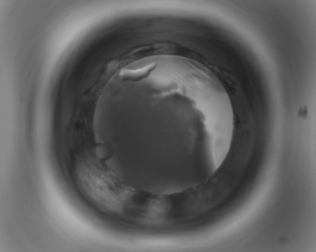 X0000112520143200909071343