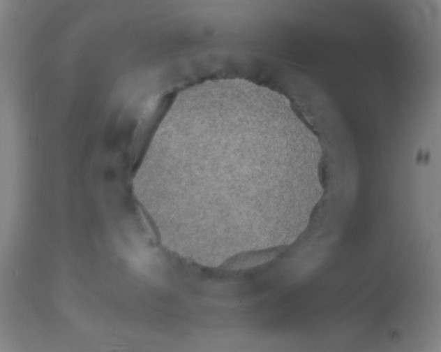 X0000112520144200909071343