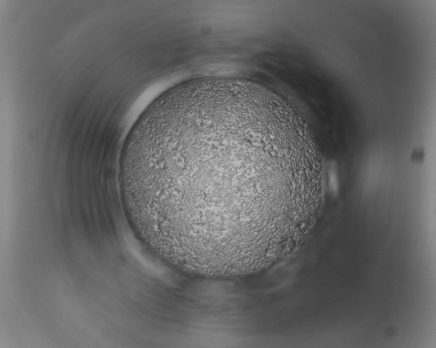 X0000112520147200909071342