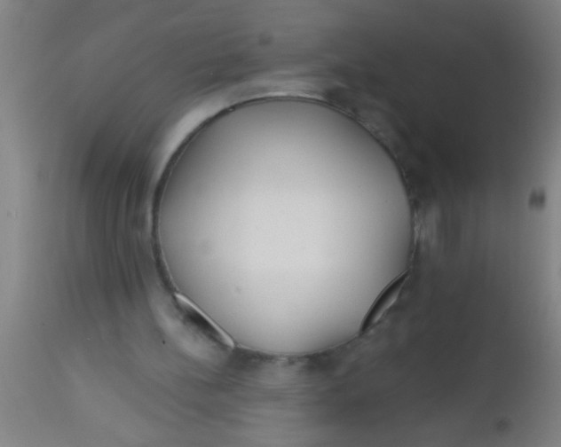 X0000112520148200909071342