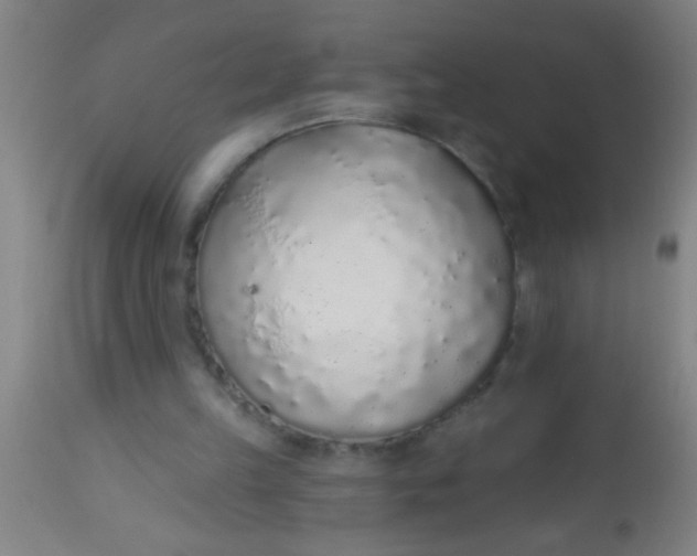 X0000112520149200909071342