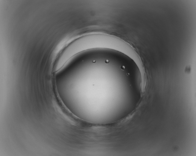 X0000112520150200909071342