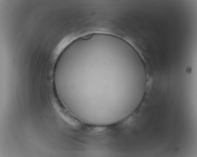 X0000112520151200909071342