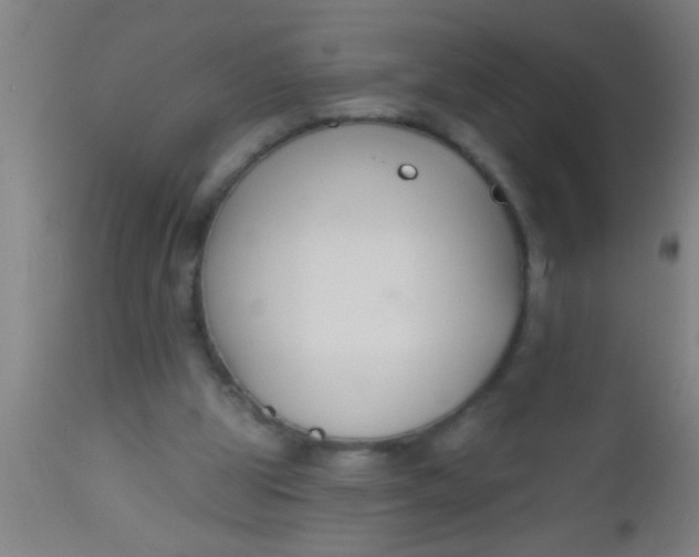 X0000112520153200909071342