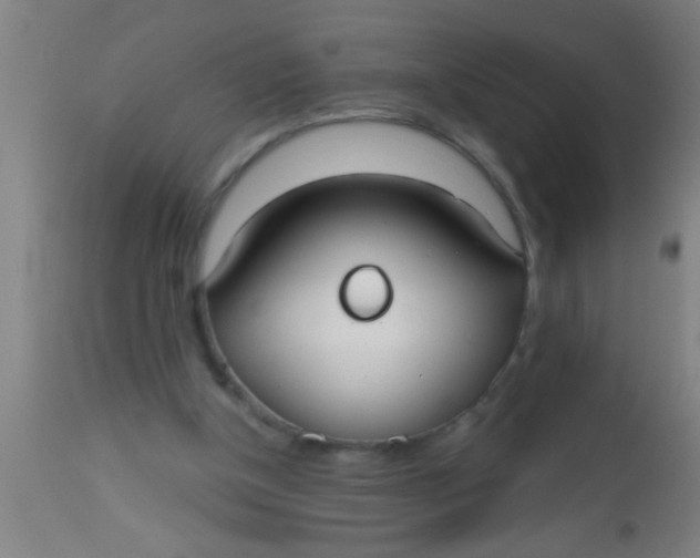 X0000112520154200909071342
