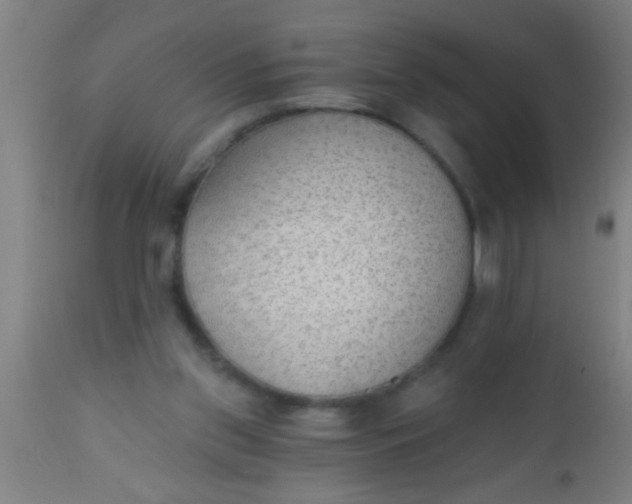 X0000112520157200909071342