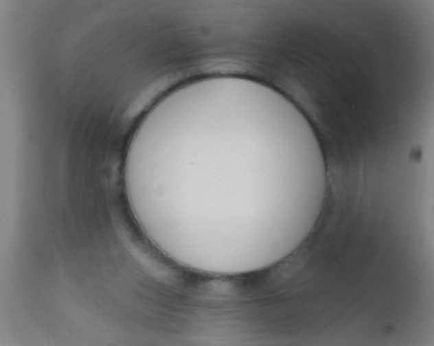 X0000112520159200909071342